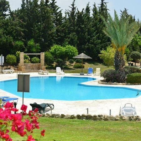 Limnaria Villas Sunny Garden Apartment Paphos Exteriör bild