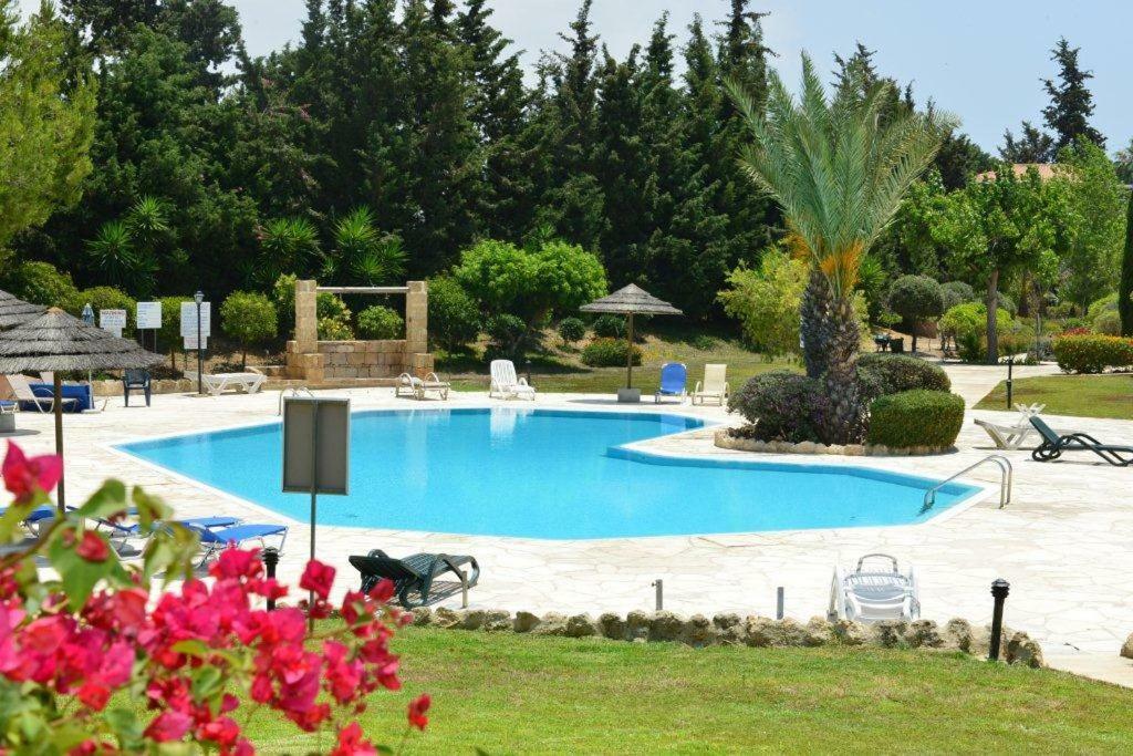 Limnaria Villas Sunny Garden Apartment Paphos Exteriör bild